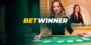 Everything You Need to Know About APK Betwinner 8