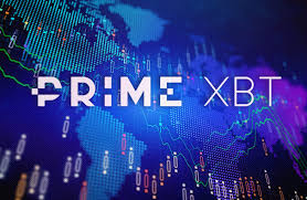 Exploring PrimeXBT Options A Comprehensive Guide