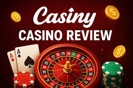 Understanding Your Casiny Account Everything You Need to Know